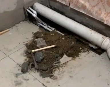 靖远卫生间漏水检测哪家好